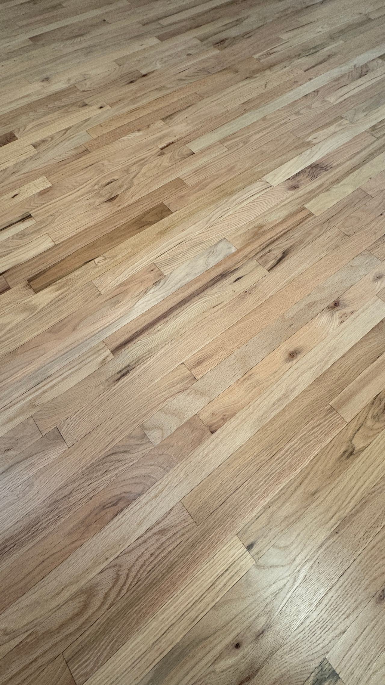 Red Oak Hardwoods Finished with Bona Natural Seal and HD — project photo by The Hardwood Guys