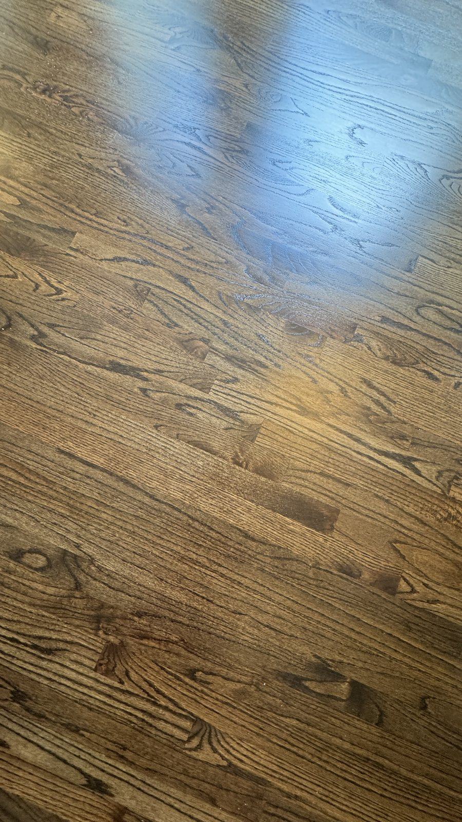 Close-up of red oak hardwood plank grain in Dark Walnut stain with matte finish