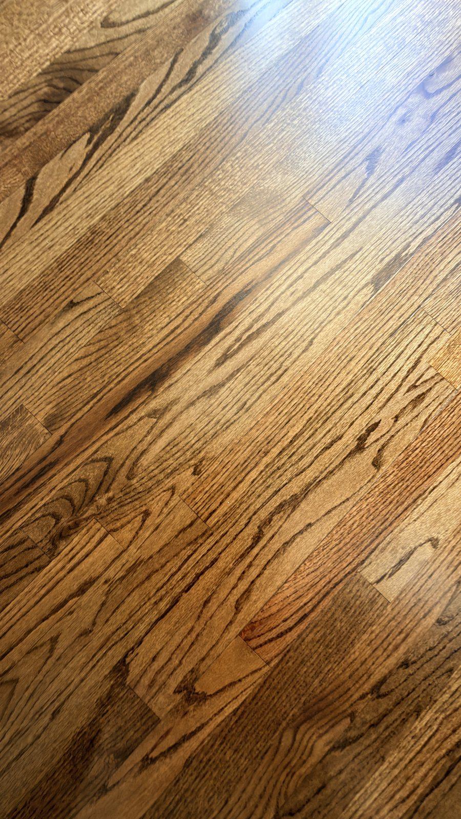 Close-up of red oak hardwood flooring stained Honey with a matte finish, diagonal plank view showing warm golden-brown grain
