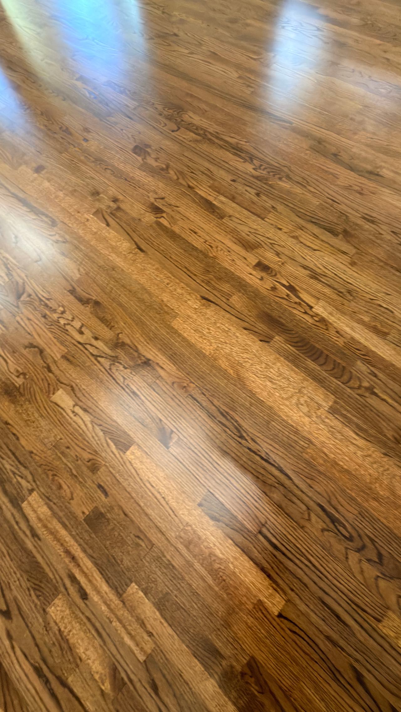 Close-up of red oak hardwood plank seams in Honey stain with matte finish