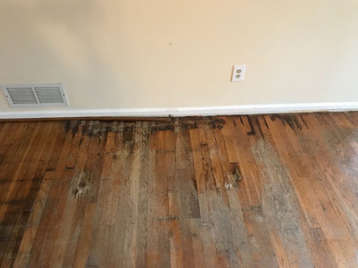 Hardwood floor discolored gray and black along a wall from a water leak