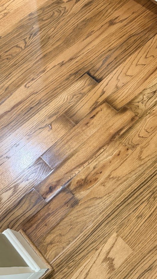 Oak boards with raised, lifted edges and dark staining at the joints from water damage