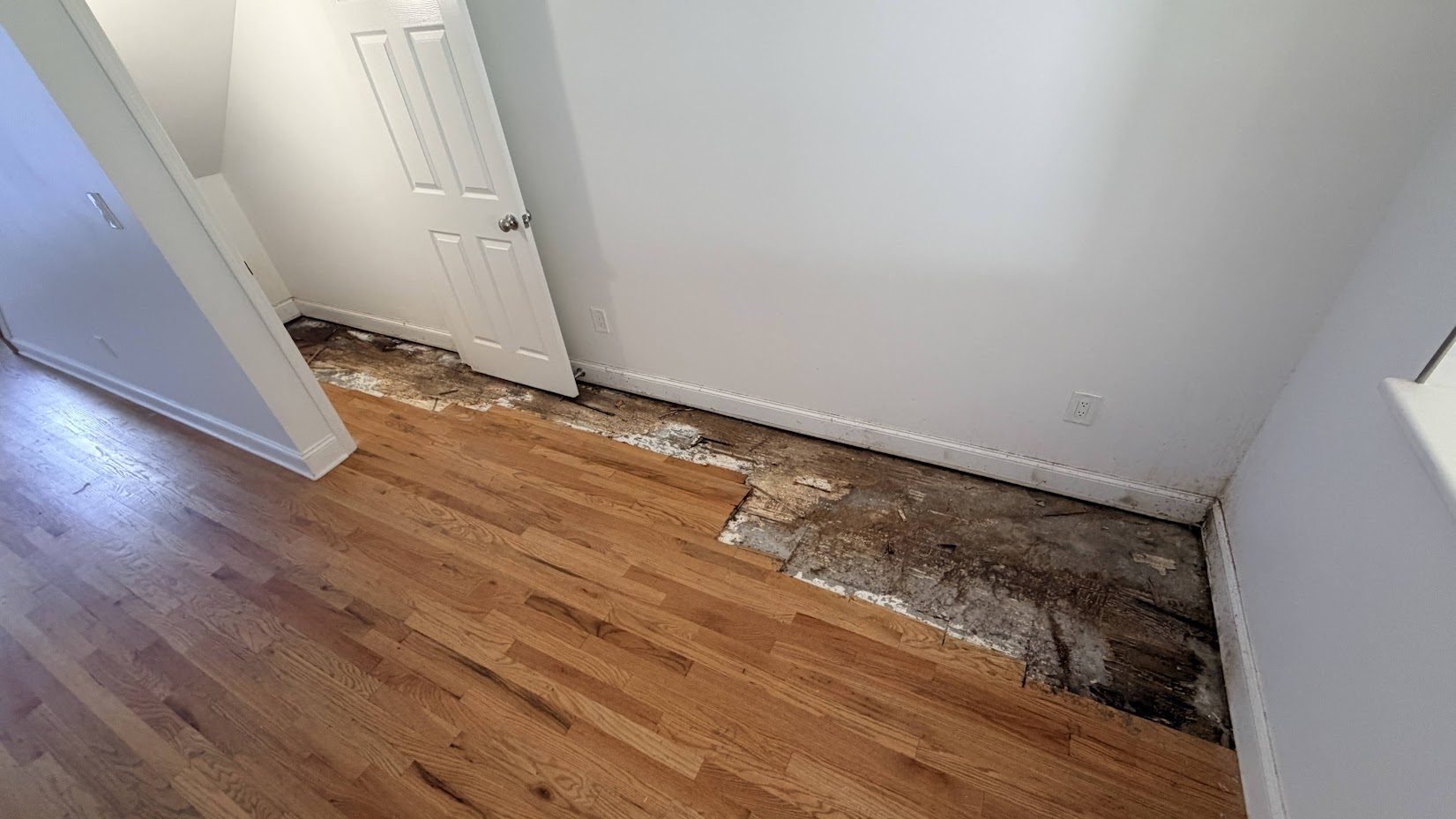 Water-damaged hardwood boards removed along a wall, exposing the damaged subfloor before repair